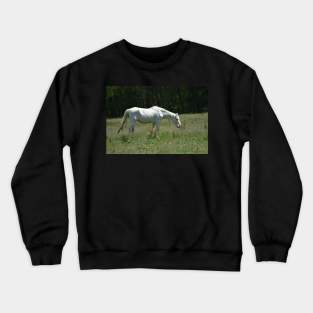 Wild Horse Crewneck Sweatshirt